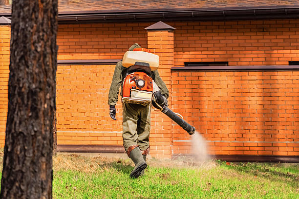 Trusted Termite Control service in Elkton, KY - Nex Pest Control